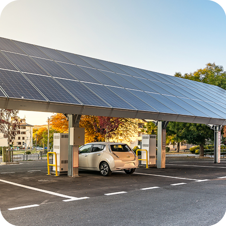 Enzymes for Food Processing